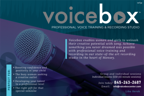 Large voicebox half page ad view 01