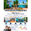 Thumb turquoise house for sale flyer